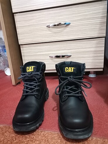 Caterpillar Bayan Bot