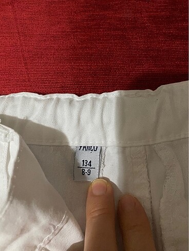 Panço Erkek çocuk şort