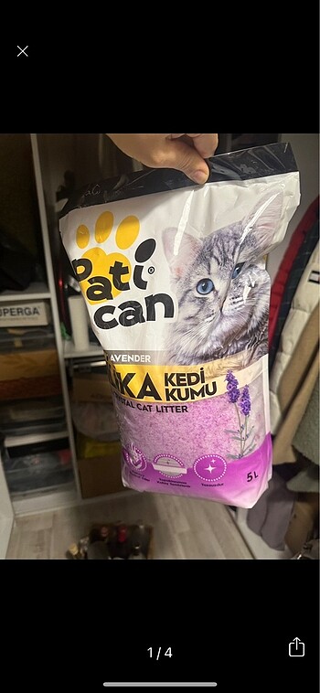 Silifke kedi kumu