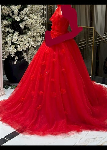 Kırmızı Uzun Katmanlı Kınalık - Görsel 4