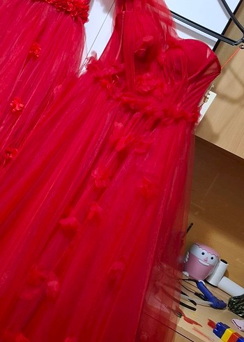 Kırmızı Uzun Katmanlı Kınalık - Görsel 3