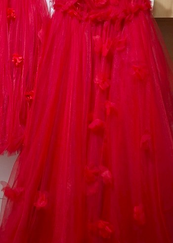 Kırmızı Uzun Katmanlı Kınalık - Görsel 2