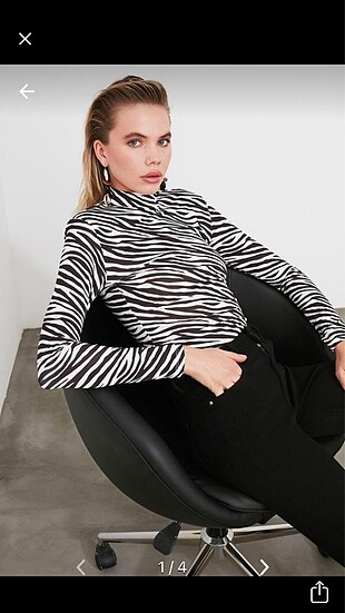 Zebra bluz.