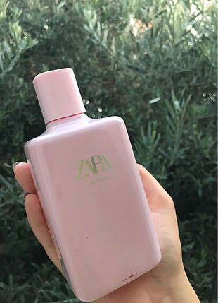 Zara tuberose parfüm