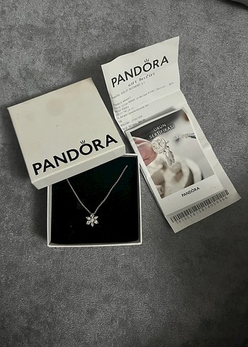 Pandora ışıltı herbaryum 925 ayar pandora kolye - Görsel 2