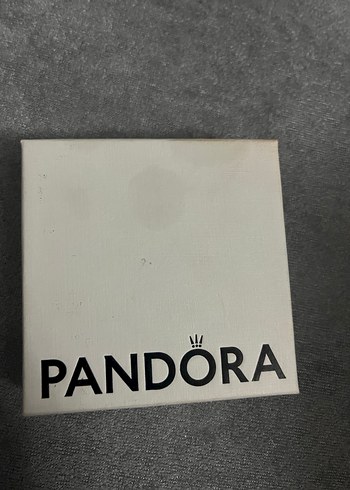 Pandora ışıltı herbaryum 925 ayar pandora kolye - Görsel 4