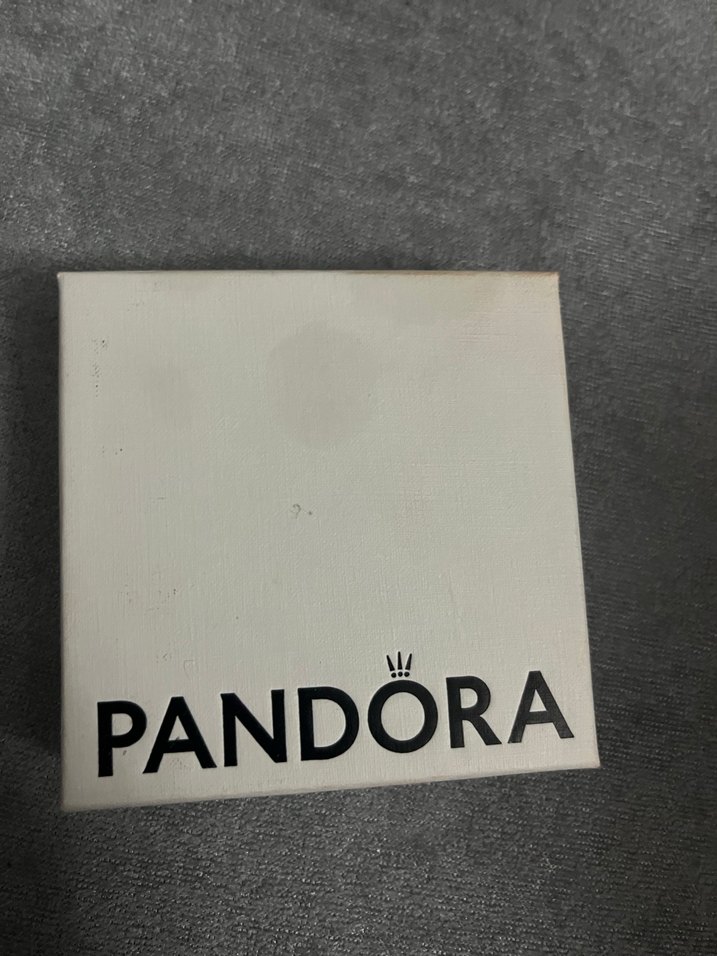 Pandora ışıltı herbaryum 925 ayar pandora kolye - Görsel 4