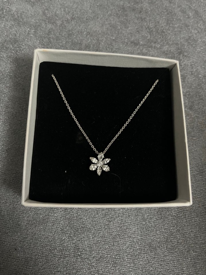 Pandora ışıltı herbaryum 925 ayar pandora kolye - Görsel 5