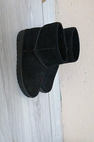 37 numara bot