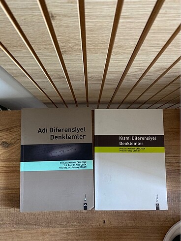  Adi Diferansiyel denklemler
