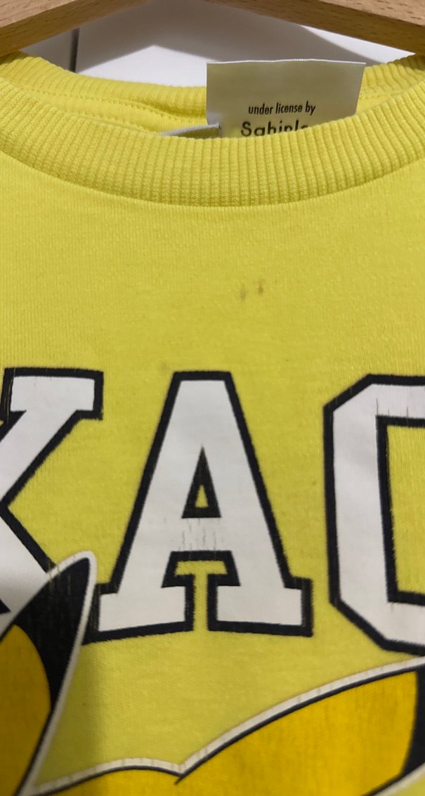 Sarı Pikachu Baskılı Erkek Sweatshirt - Görsel 2