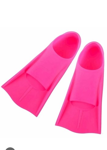 Walt Disney World 42