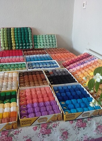 Diğer Domino ören bayan 8 12