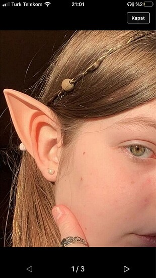 elf kulağı