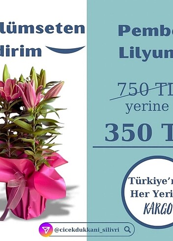 Diğer Uygun fiyatlı çiçekler 