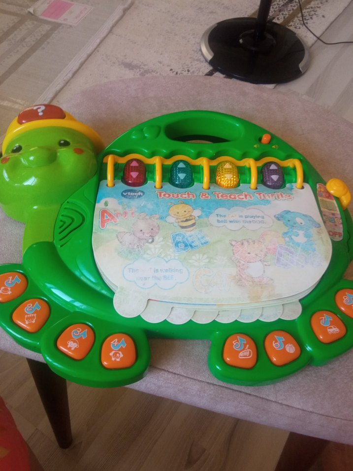 Renkli Kurbağa Temalı Eğitici Oyuncak - Görsel 3