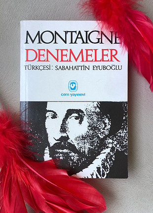 MONTAIGNE DENEMELER