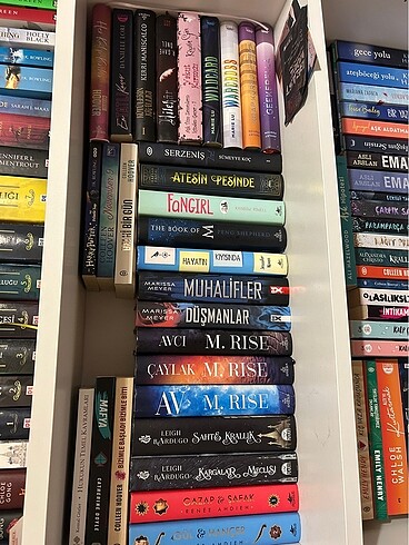 Sarah J Maas