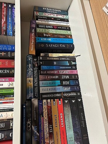Sarah J Maas
