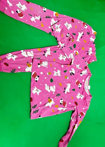 Kız Çocuk Pembe Baskılı Polar Pijama Takımı