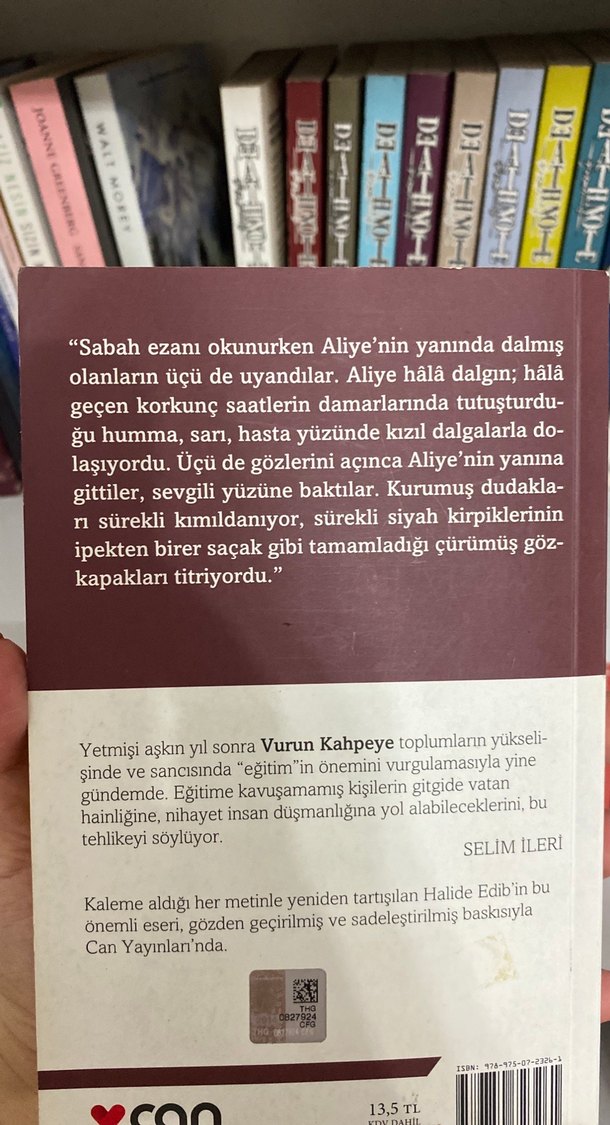 Halide Edib Adıvar - Vurun Kahpeye (Sadeleştirilmiş) - Görsel 3