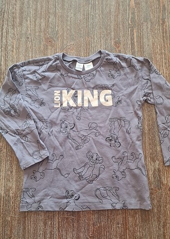 Gri Baskılı Erkek Çocuk Uzun Kollu Tişört - Görsel 4