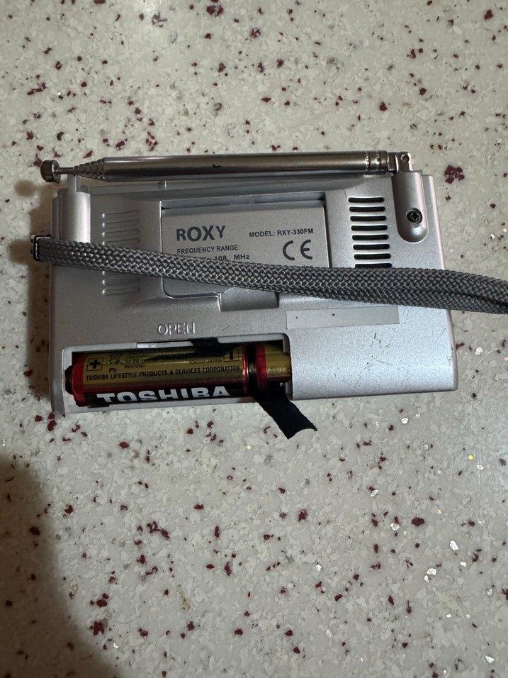 Gri Roxy Dijital Radyo ve Alarm Saat - Görsel 2