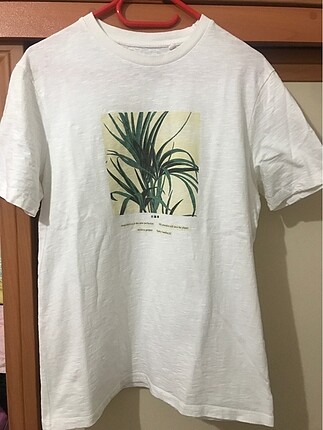 Beyaz t-shirt erkek (unisex ben de kullandım kotlarla)