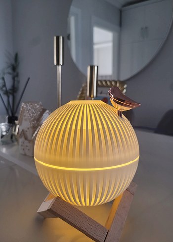 Diger Khaki Hava Temizleyici ve Nemlendirici - Görsel 3