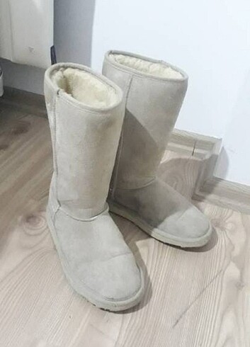 kadin ugg bot