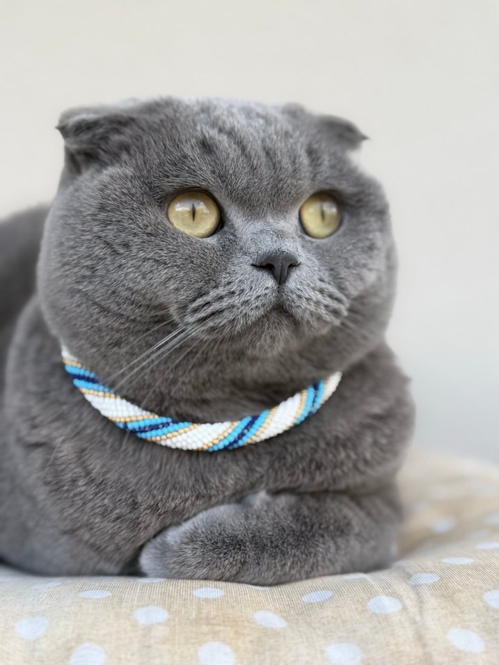 Uzun Turkuaz Boncuklu Bohem Desenli kedi kolyesi - Görsel 5