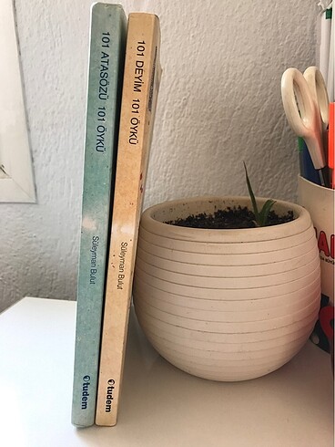 2'li Kitap Seti (101 Atasözü Öykü & 101 Deyim Öykü)