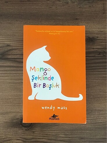 Mango Şeklinde Bir Boşluk - Wendy Mass