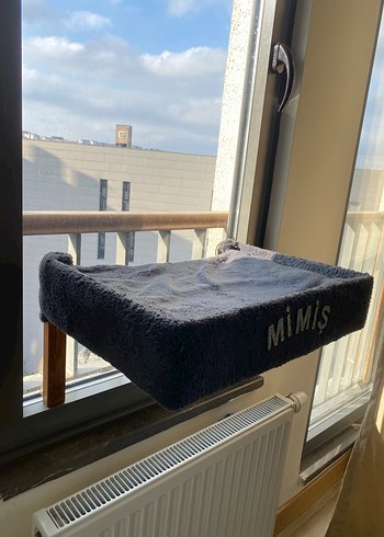 Vantuzlu Kedi Cam Yatağı - Görsel 3