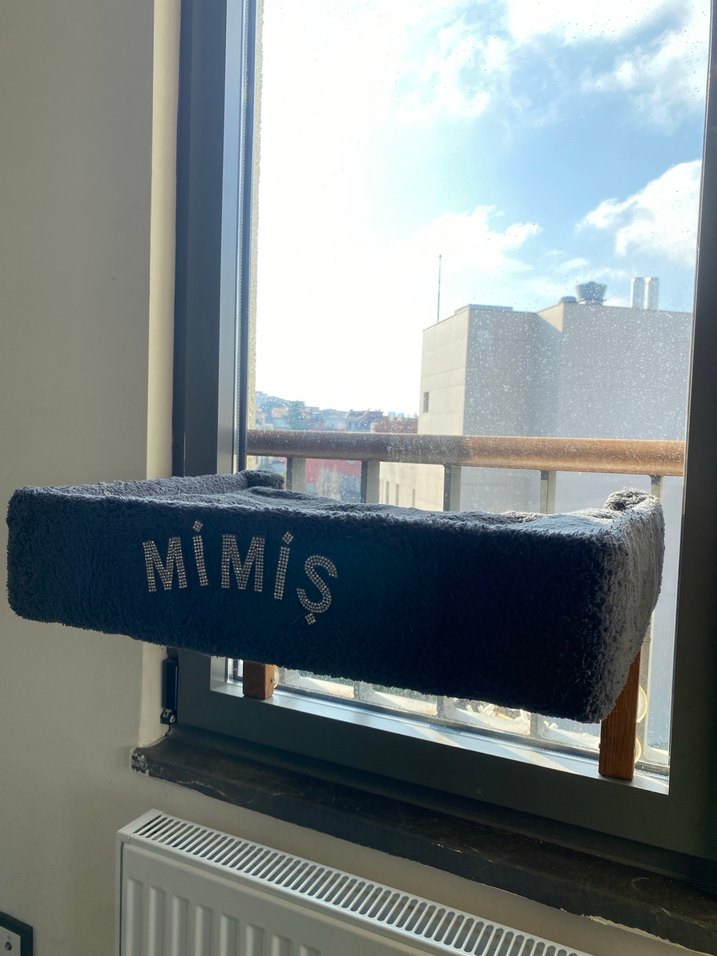 Vantuzlu Kedi Cam Yatağı - Görsel 2