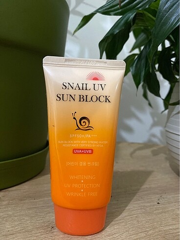 Jigott Güneş Kremi 50SPF+/PA+++