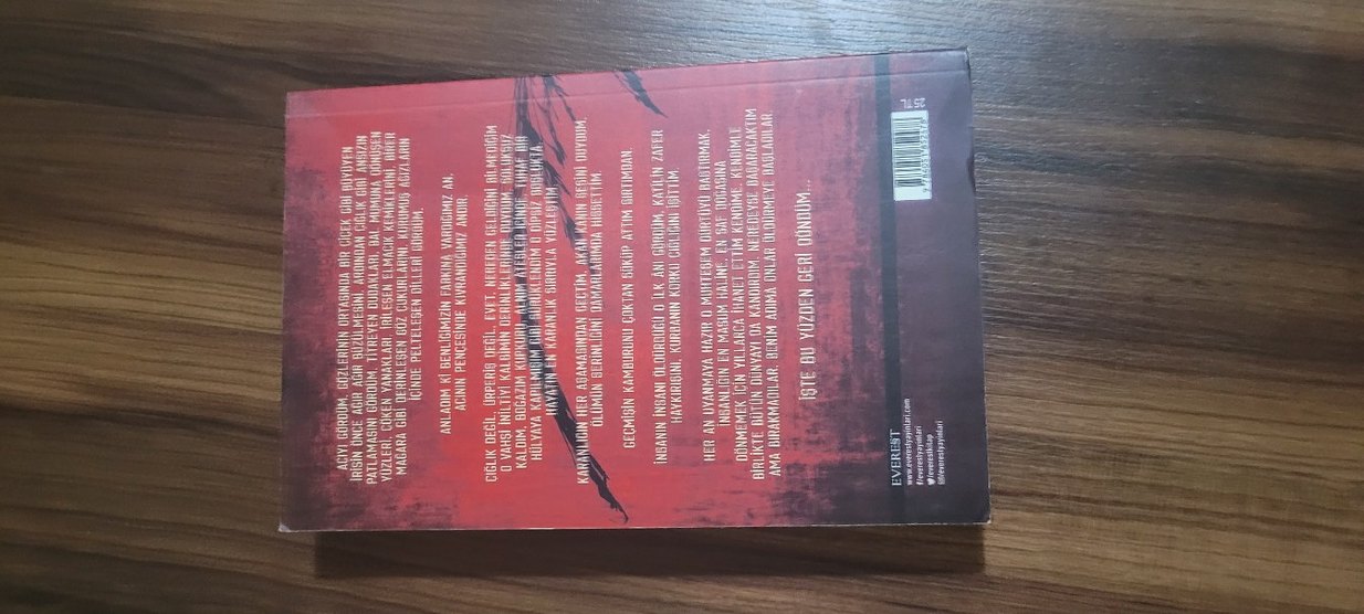 Kırlangıç Çığlığı -Ahmet Ümit - Görsel 2