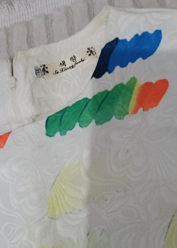 Çok Renkli Piliseli Elbise - Görsel 2