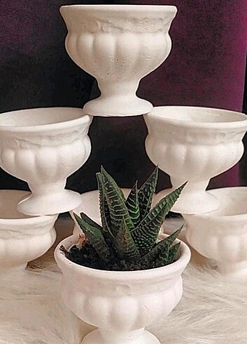 Zara Home Sukulent saksı 