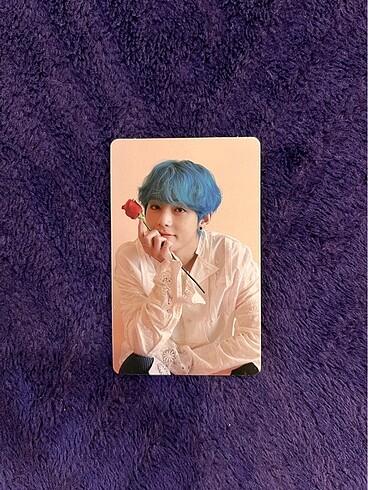 mem19 tae