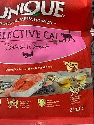 Kedi maması
