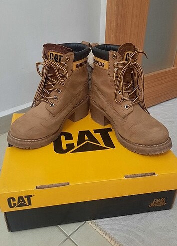 CAT OTTAWA Kadın Bot