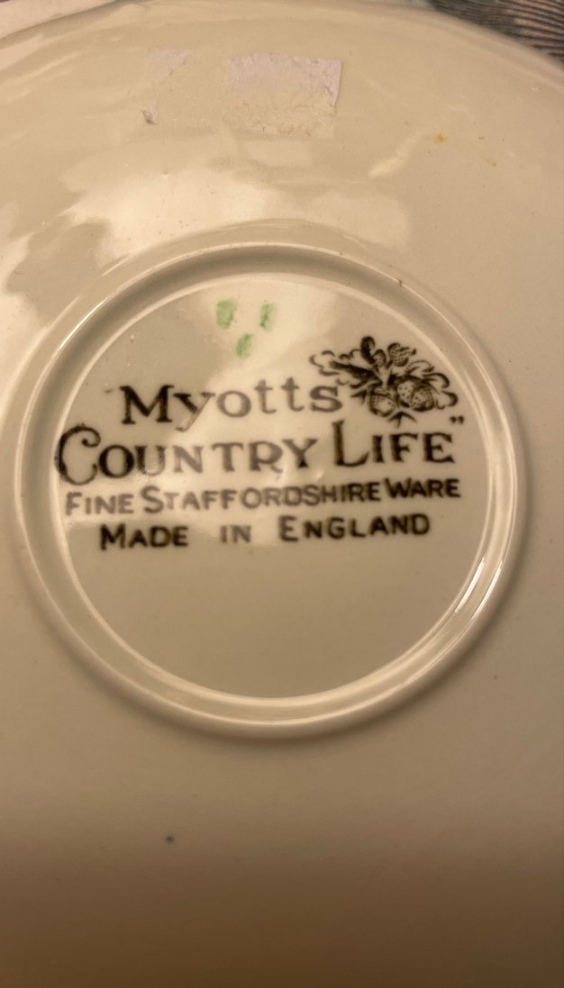 Myotts Fincan - Görsel 2