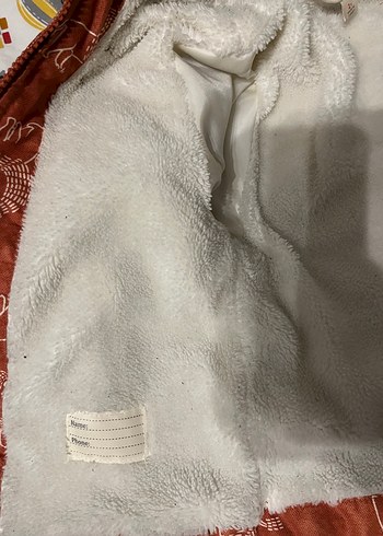 Aslan Baskılı Kapüşonlu Erkek Çocuk Mont - Görsel 4