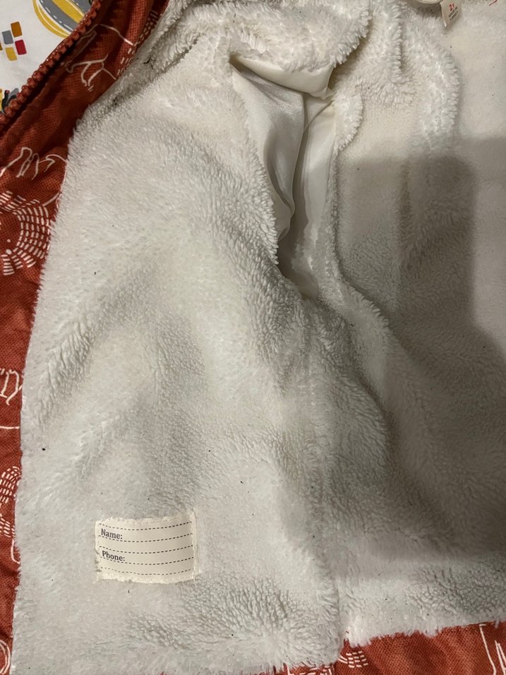 Aslan Baskılı Kapüşonlu Erkek Çocuk Mont - Görsel 4