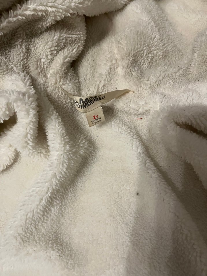 Aslan Baskılı Kapüşonlu Erkek Çocuk Mont - Görsel 5