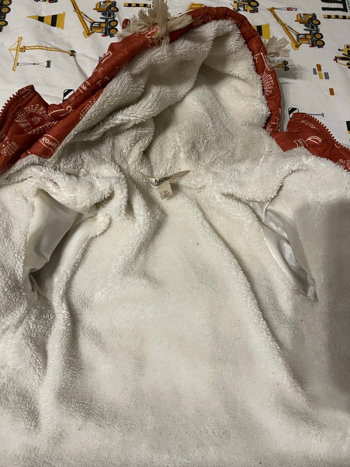 Aslan Baskılı Kapüşonlu Erkek Çocuk Mont - Görsel 3