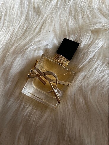 Ysl libre