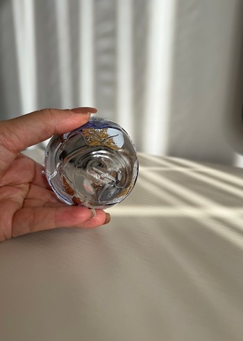 Diğer Lolita lempicka