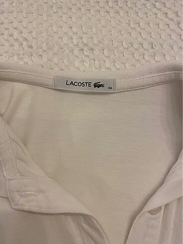xs Beden Lacoste